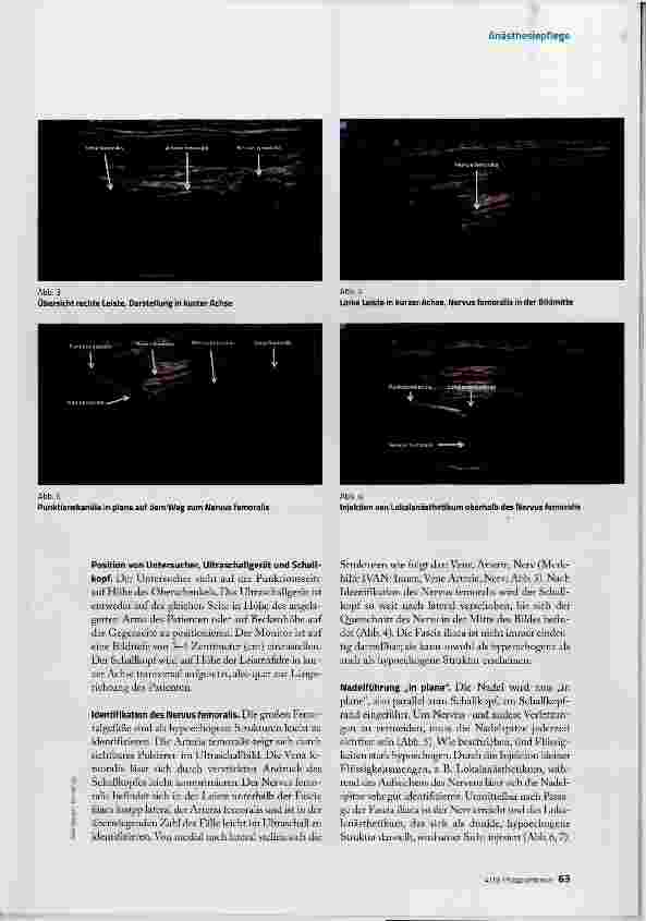Vorschauseite 4: Ultraschalltechnik fachgerecht einsetzen und interpretieren