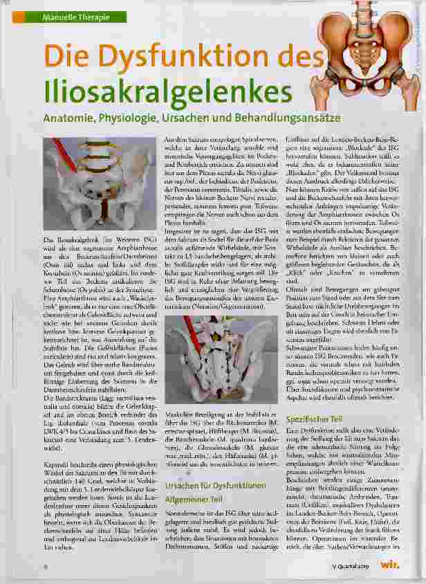 Vorschauseite 1: Die Dysfunktion des Iliosakralgelenkes