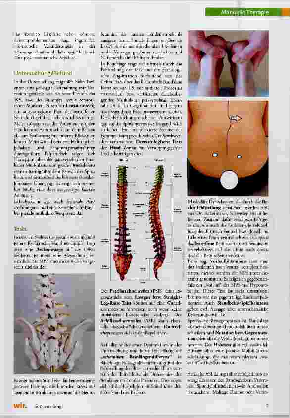 Vorschauseite 2: Die Dysfunktion des Iliosakralgelenkes