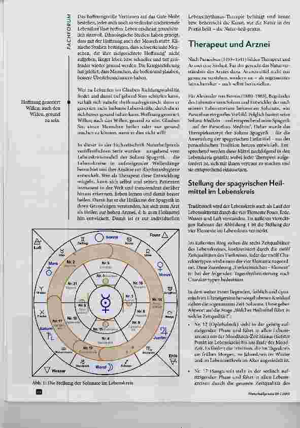 Vorschauseite 2: Rhythmik und Heilkunst: Praxis der Lebensrhythmus-Therapie