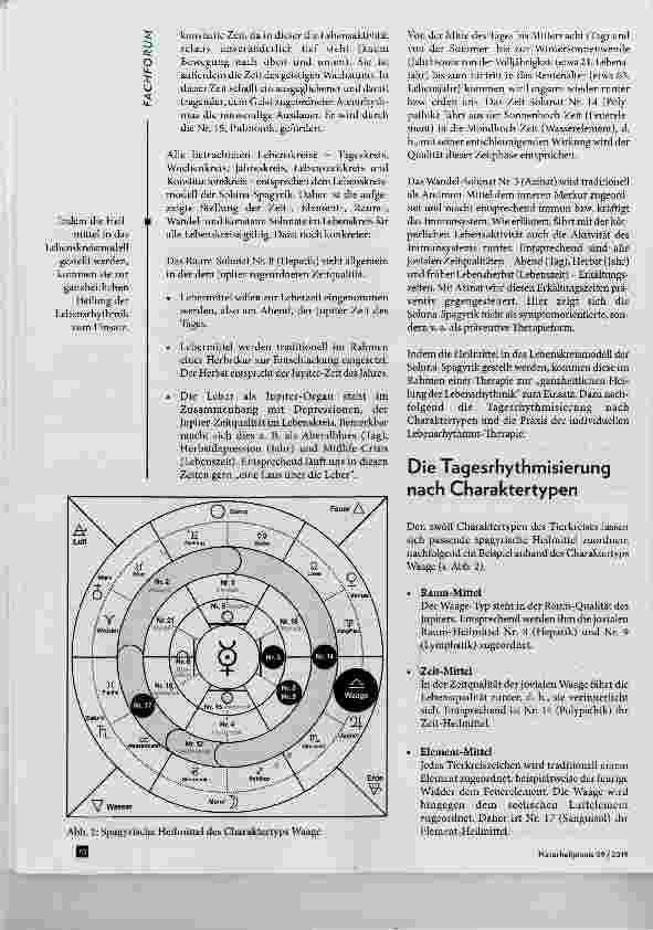 Vorschauseite 4: Rhythmik und Heilkunst: Praxis der Lebensrhythmus-Therapie