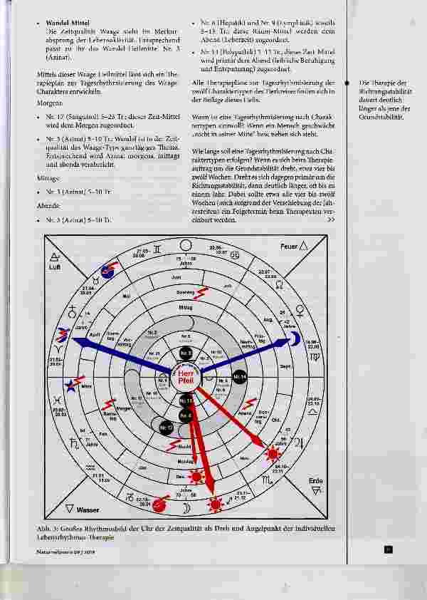 Vorschauseite 5: Rhythmik und Heilkunst: Praxis der Lebensrhythmus-Therapie