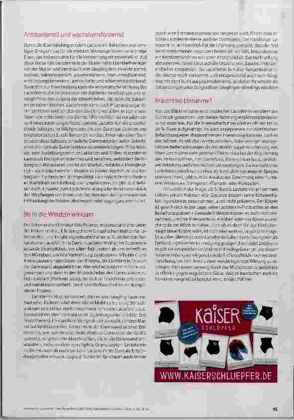 Vorschauseite 2: Eisen-Bringdienst