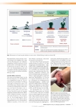 Vorschauseite 2: Wundbiofilm: Therapie-Optionen und Limitationen