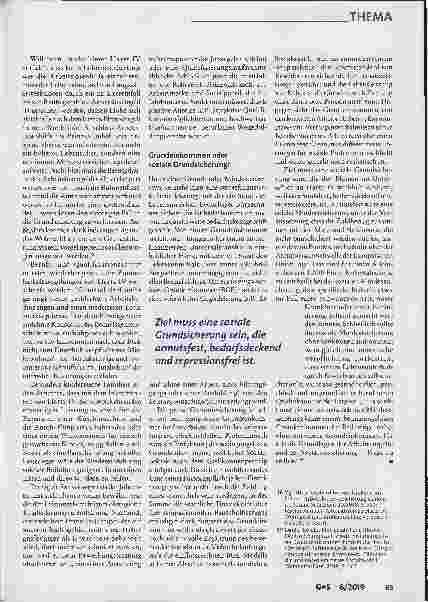 Vorschauseite 6: Was folgt auf Hartz IV - das bedingungslose Grundeinkommen?