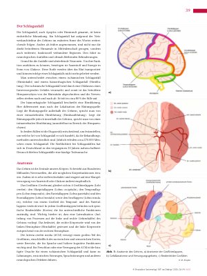 Vorschauseite 2: Time is Brain