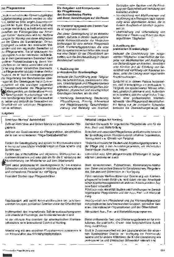 Vorschauseite 2: Die Rolle der Pflegekammer bei der Professionalisierung des Pflegeberufes - Erfahrungen aus den USA