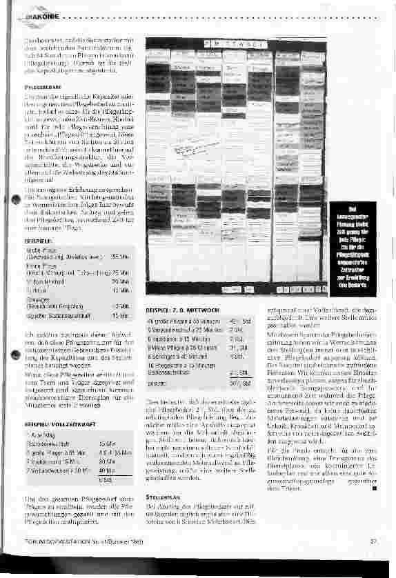 Vorschauseite 2: Die kalkulierte Pflege zeit und Leistung, Bedarf und Stellen,