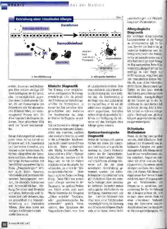 Vorschauseite 3: Intestinale Nahrungsmittelallergie - oft übersehen?