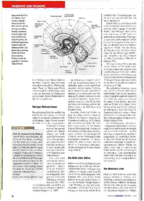 Vorschauseite 3: Oxytocin verbindet