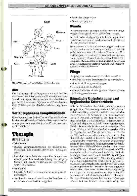 Vorschauseite 2: Der Verbrennungspatient und seine Pflege