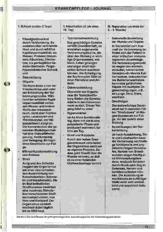 Vorschauseite 4: Der Verbrennungspatient und seine Pflege