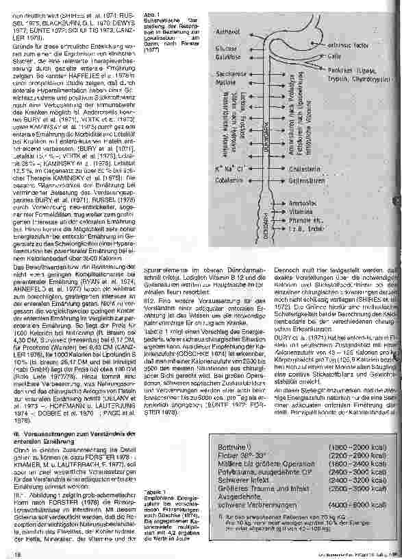 Vorschauseite 2: Adäquate enterale Ernährung des Langzeitliegers