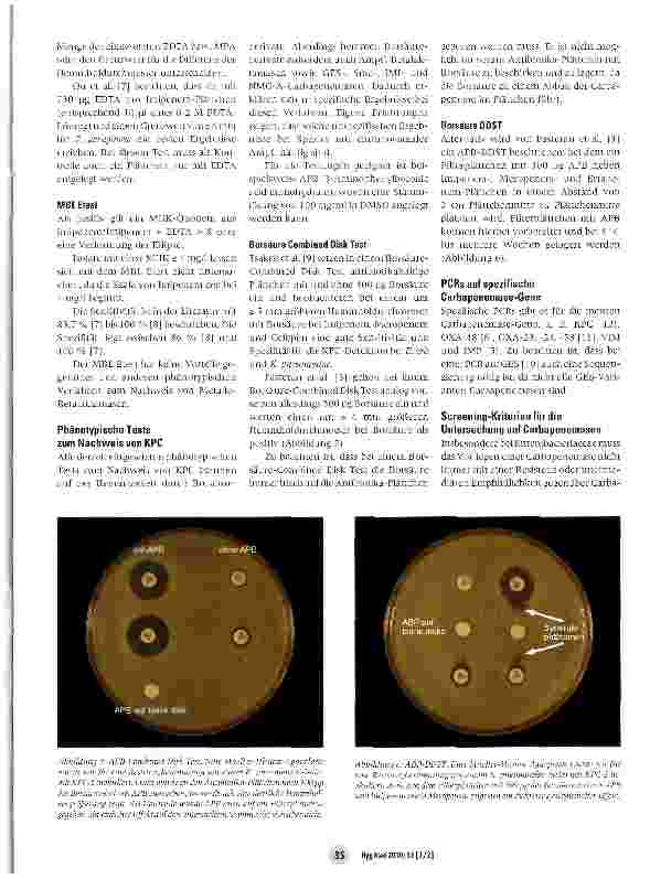 Vorschauseite 4: Carbapenemase-Detektion im mikrobiologischen Labor