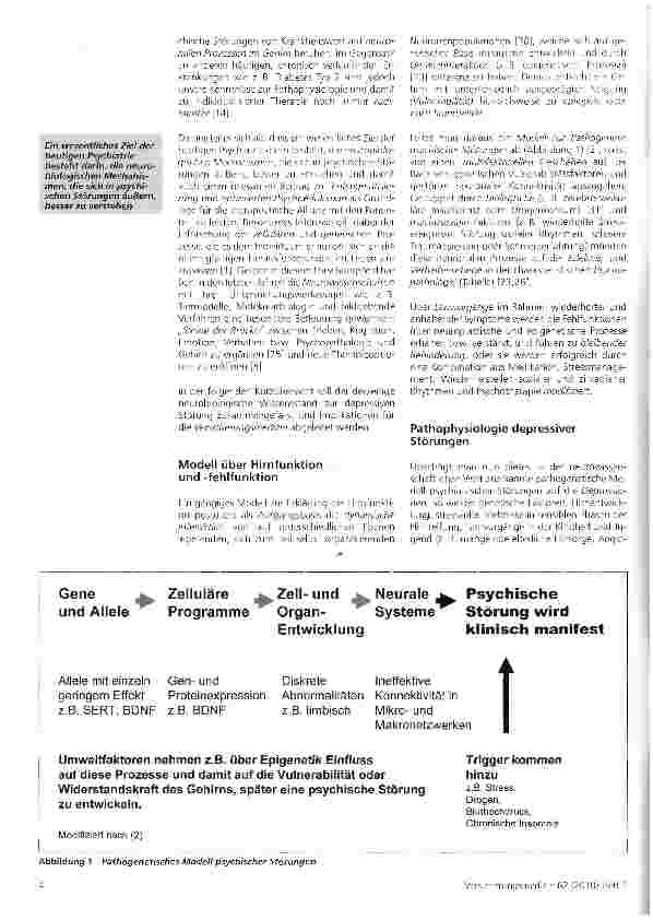 Vorschauseite 2: Neurobiologie der Depression