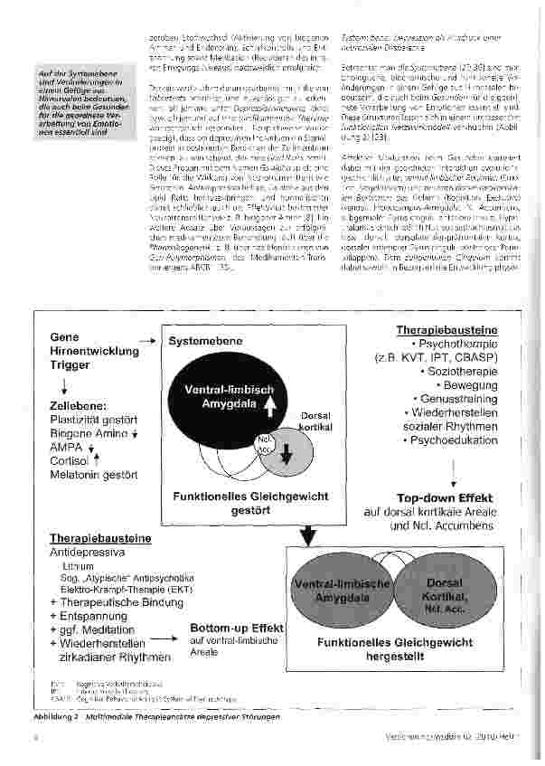 Vorschauseite 4: Neurobiologie der Depression