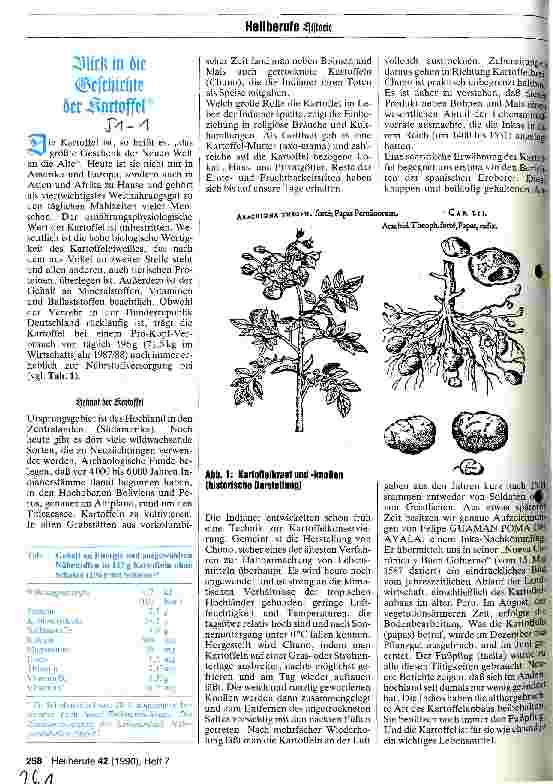 Vorschauseite 1: Blick in die Geschichte der Kartoffel