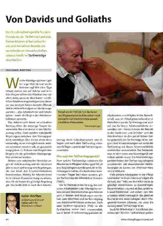 Vorschauseite 1: Von Davids und Goliaths