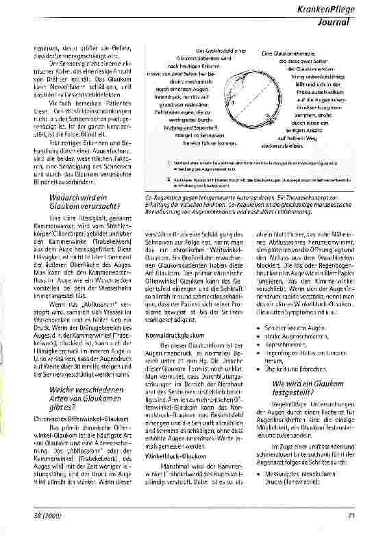 Vorschauseite 2: Wenn der Sehnerv krankt