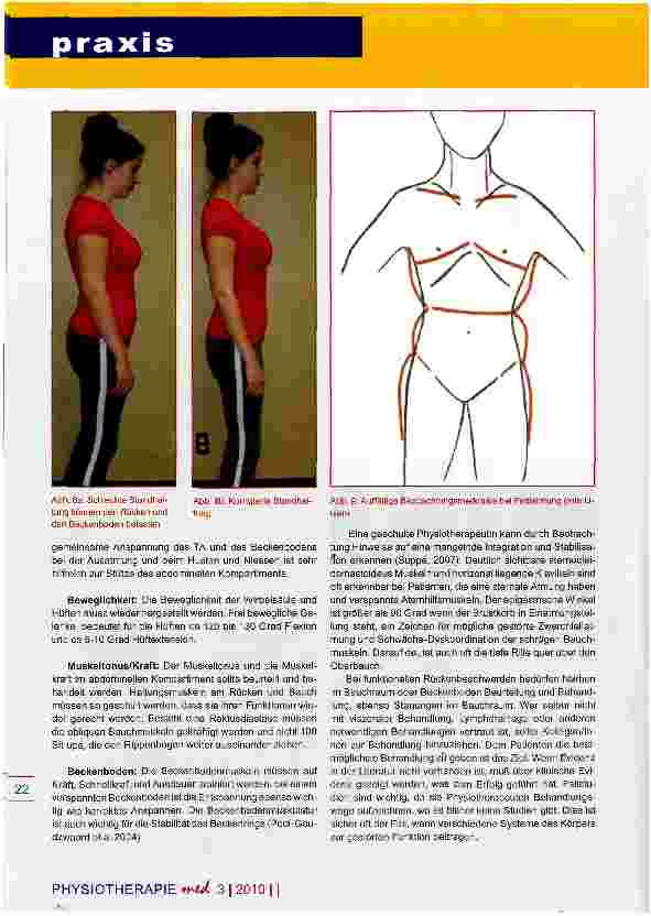 Vorschauseite 4: Integration des Beckenbodens Bedeutung für die physiotherapeutische Behandlung
