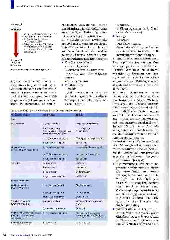 Vorschauseite 5: Arzneimitteltherapie und -information in der Palliativmedizin