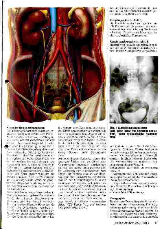 Vorschauseite 2: Radiologische und nuklearmedizinische Diagnostik