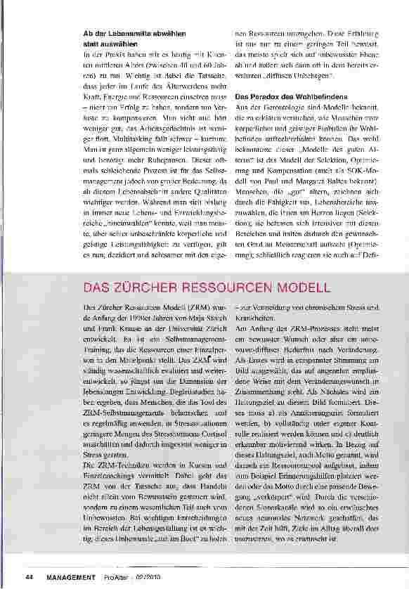 Vorschauseite 2: Unterstützung bei beruflichen und persönlichen Reifeprozessen