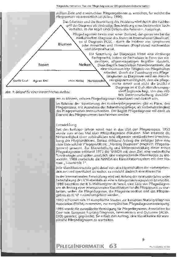 Vorschauseite 3: Pflegedokumentation: Von der Pflegediagnose zur DV-gestützten Dokumentation
