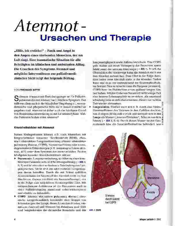Vorschauseite 1: Atemnot- Ursachen und Therapie
