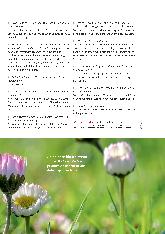 Vorschauseite 3: Überlastungen (an)erkennen