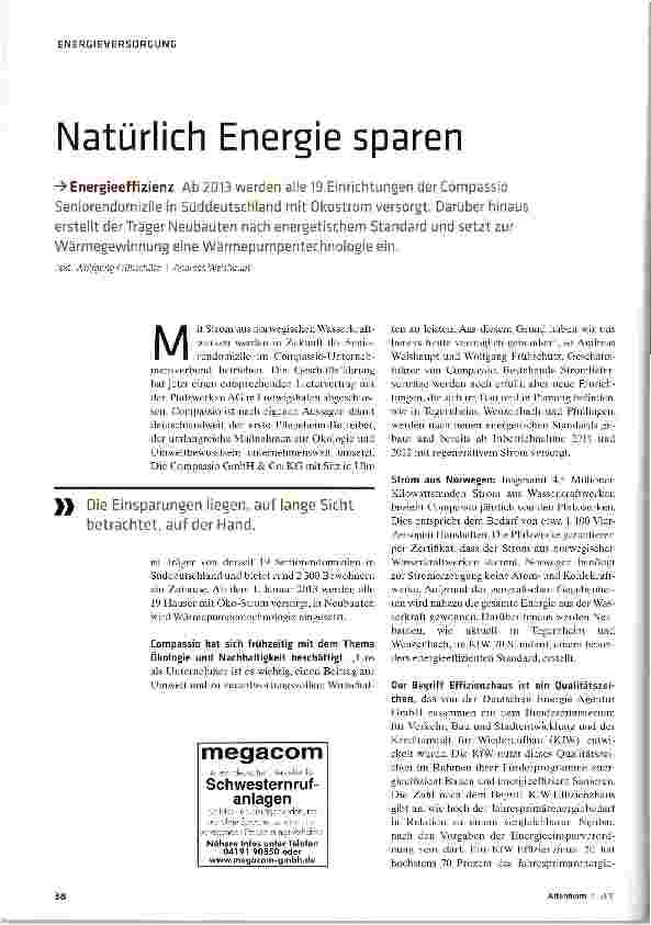 Vorschauseite 1: Natürlich Energie sparen