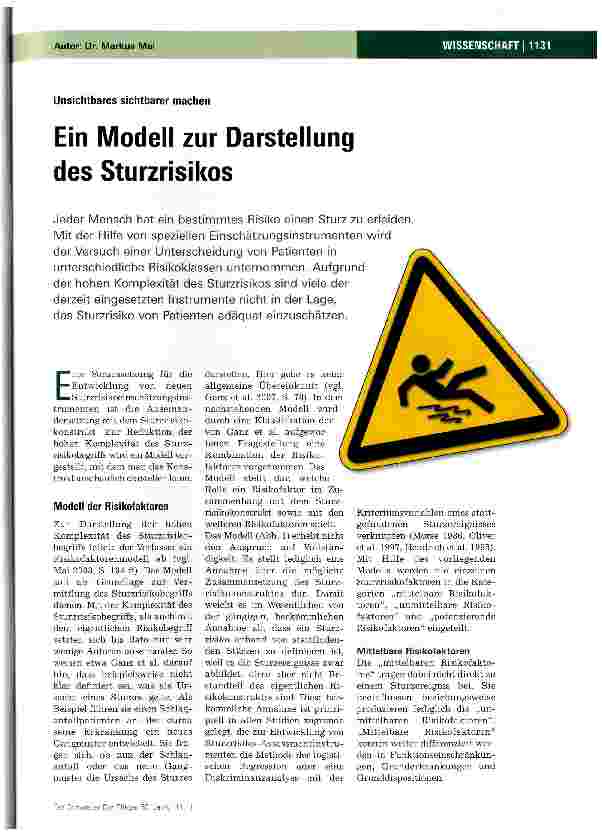 Vorschauseite 1: Ein Modell zur Darstellung des Sturzrisikos