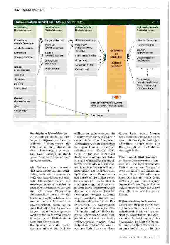 Vorschauseite 2: Ein Modell zur Darstellung des Sturzrisikos