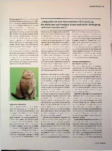 Vorschauseite 2: Adipositas, Diabetes und ihre gemeinsamen Risikofaktoren