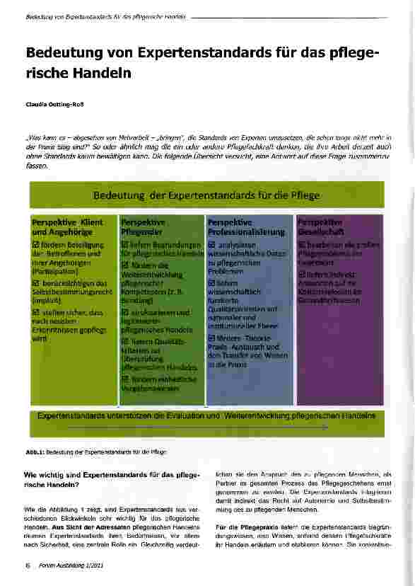 Vorschauseite 1: Bedeutung von Expertenstandards für das pflegerische Handeln