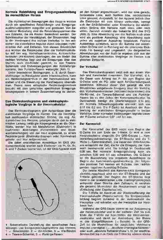 Vorschauseite 2: Herzrhythmusstörungen und ihre medikamentöse Therapie