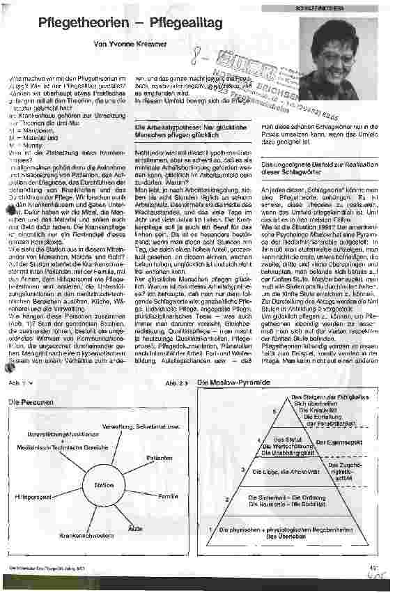 Vorschauseite 1: Pflegetheorien - Pflegealltag