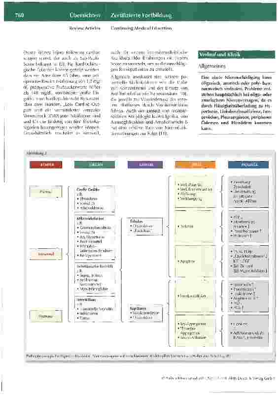 Vorschauseite 4: Akutes Nierenversagen in der Intensivmedizin