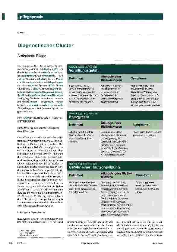 Vorschauseite 1: Diagnostischer Cluster