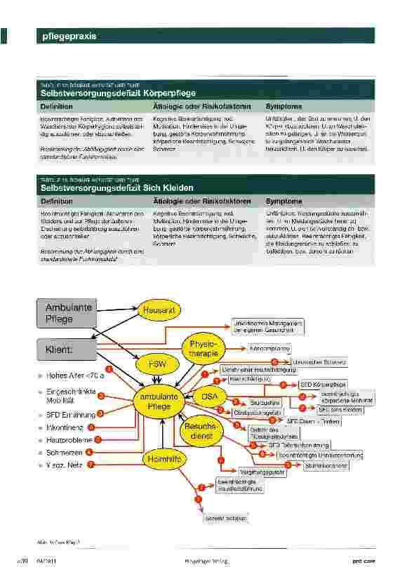 Vorschauseite 5: Diagnostischer Cluster