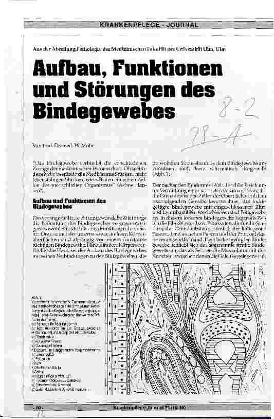 Vorschauseite 1: Aufbau, Funktionen und Störungen des Bindegewebes
