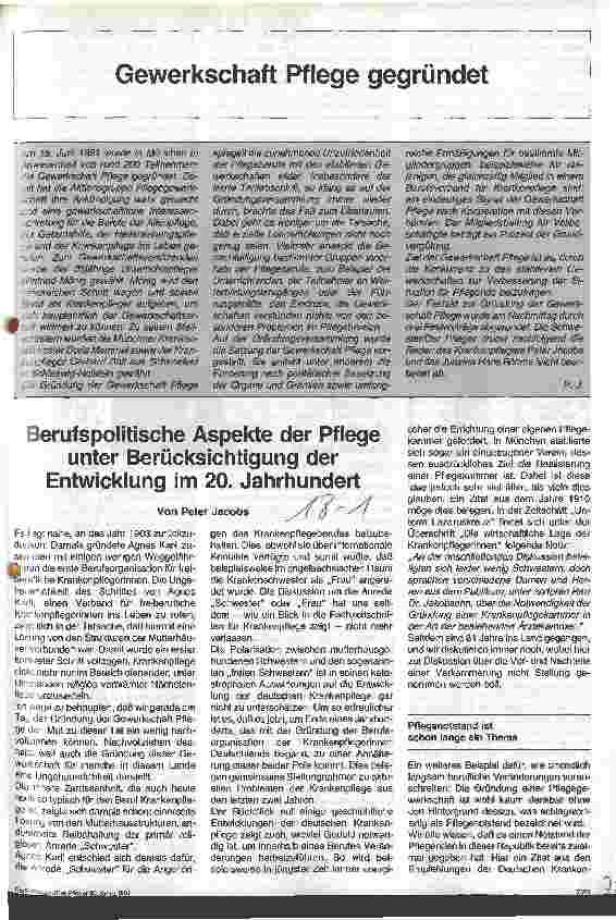 Vorschauseite 1: Berufspolitische Aspekte der Pflege unter Berücksichtigung der Entwicklung im 20. Jahrhundert