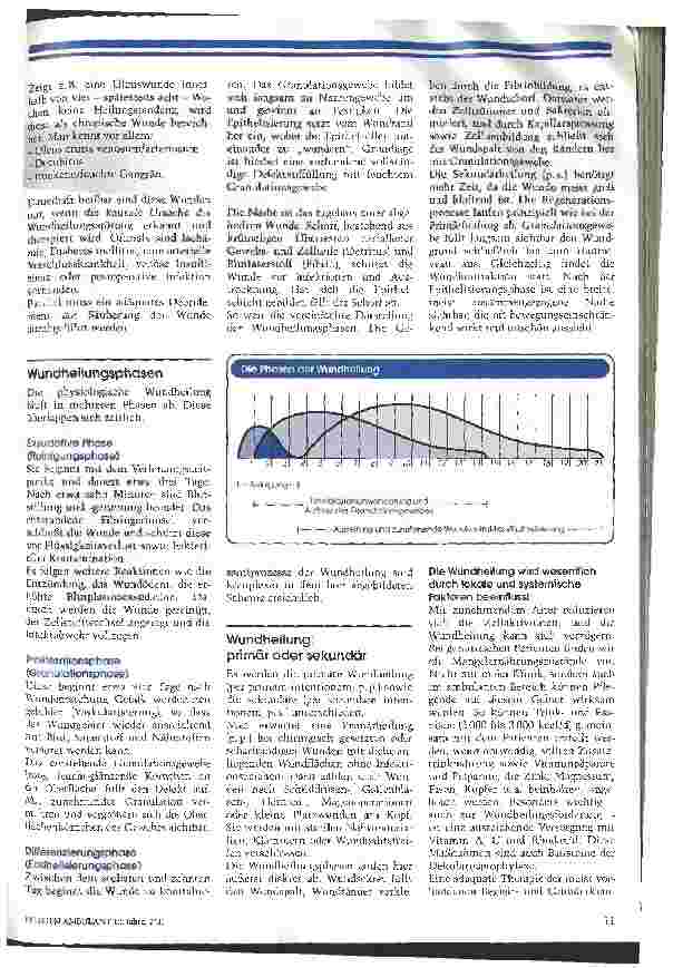 Vorschauseite 2: Wundbehandlung zeitgemäß - professionell - effektiv, 1. Teil