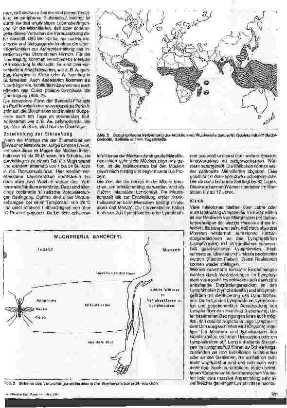 Vorschauseite 2: Wurminfektionen - Filariasis (I)