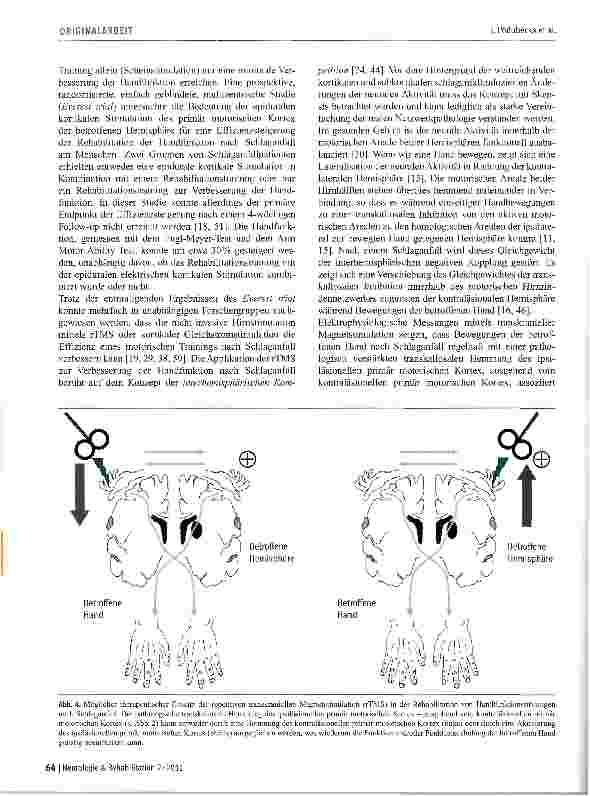 Vorschauseite 6: Die repetitive transkranielle Magnetstimulation in der Rehabilitation von Handfunktionsstörungen nach Schlaganfall