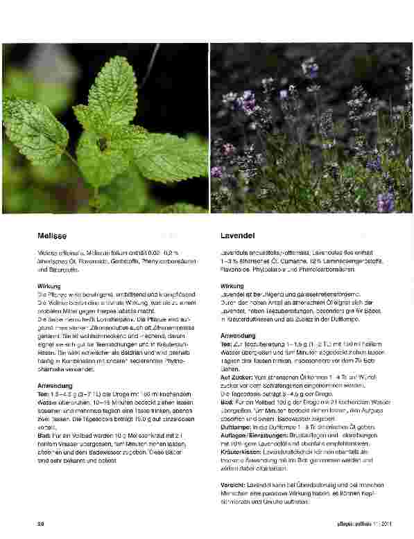Vorschauseite 3: Pflanzenkraft, die Schlaf verschafft