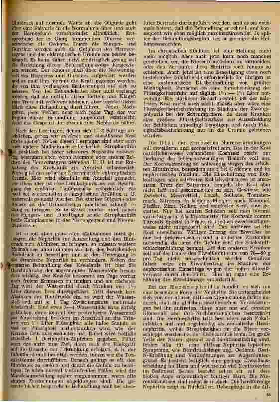 Vorschauseite 5: Über einige wichtige Nierenerkrankungen