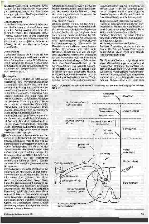 Vorschauseite 2: Onkologischer Schmerz - aus der Sicht der Pflege