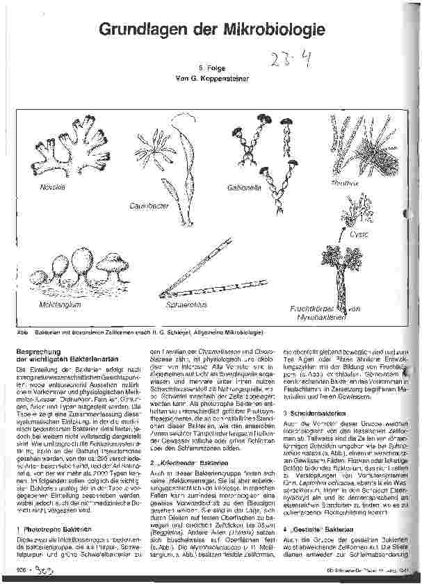 Vorschauseite 1: Grundlagen der Mikrobiologie