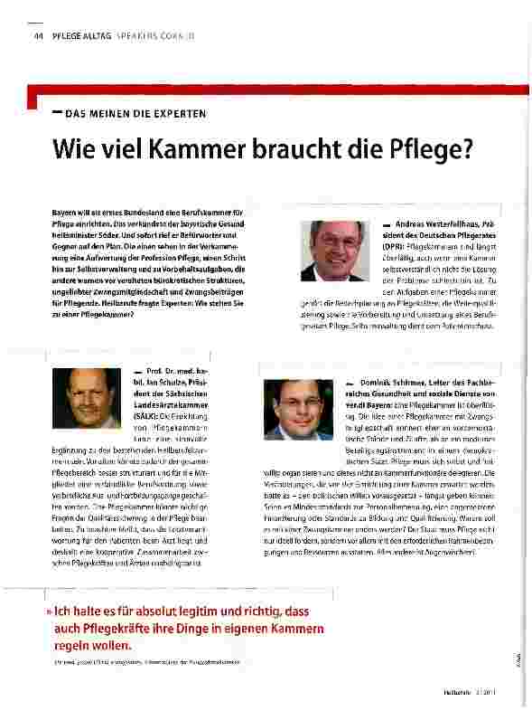 Vorschauseite 1: Wie viel Kammer braucht die Pflege?